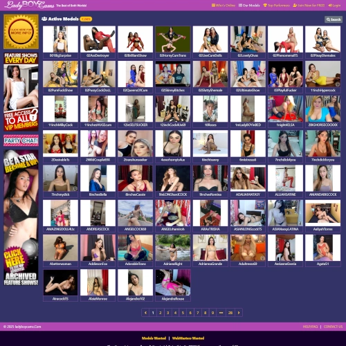 Ladyboy Cams Review