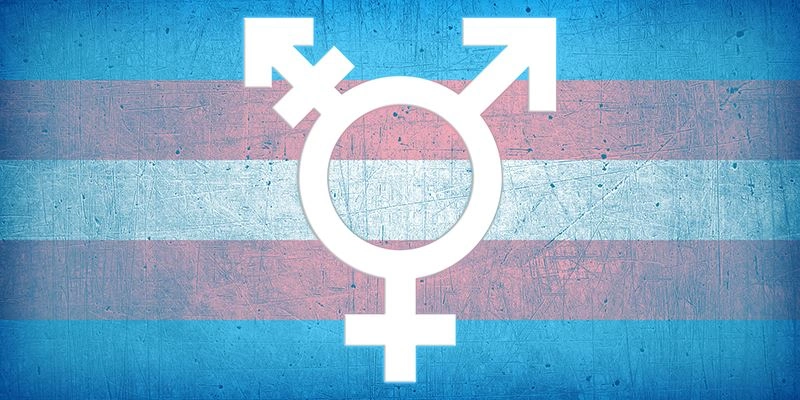 Best TGirl Porn Sites of September 2025 – Updated Guide for Trans Lovers