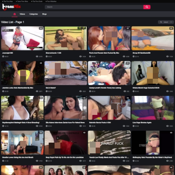 TransFlix Revirw